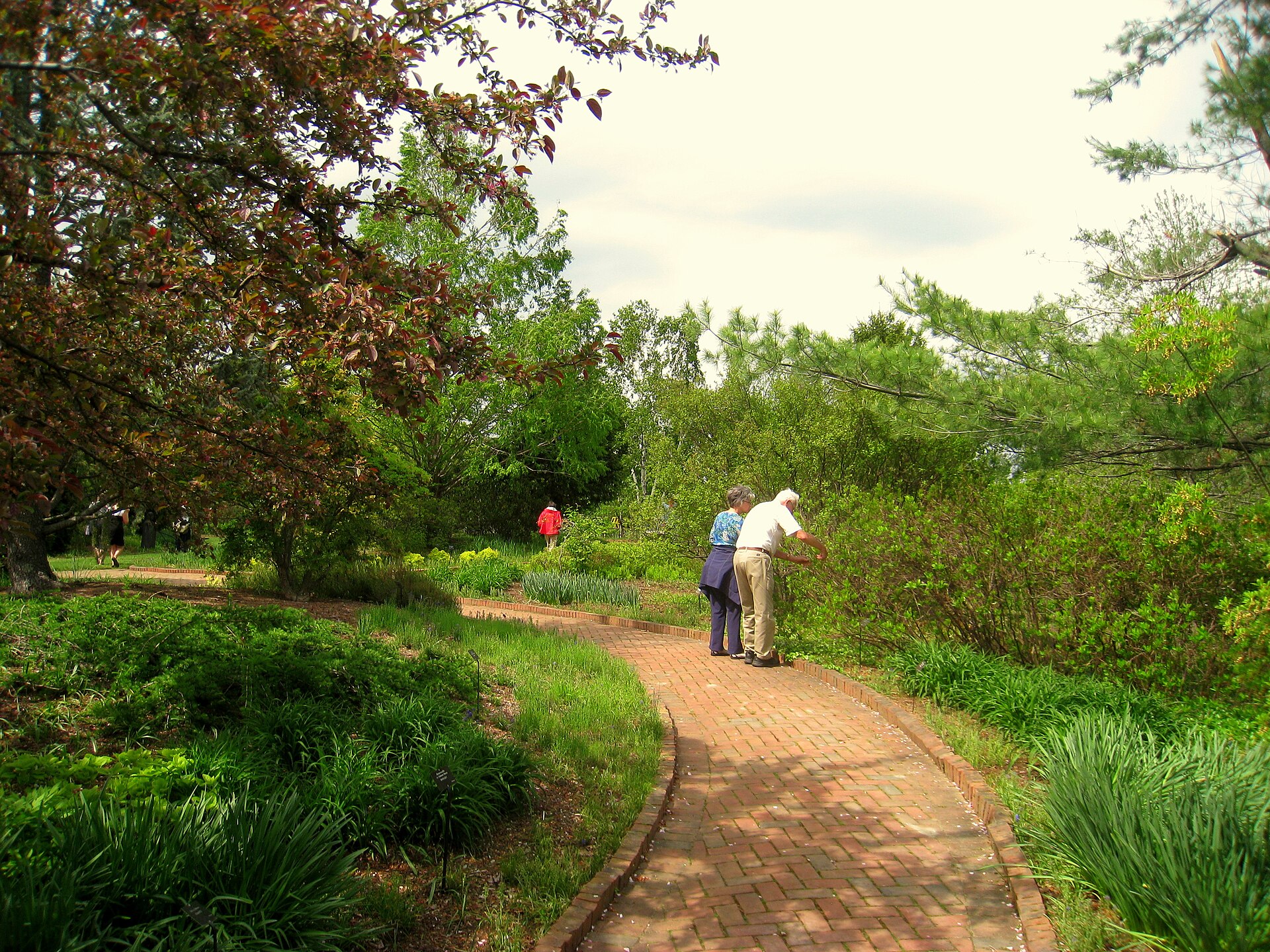 Brick walkway masonry in Marion County by Kkam Construction And Restoration Brick walkway masonry in Marion County by Kkam Construction And Restoration